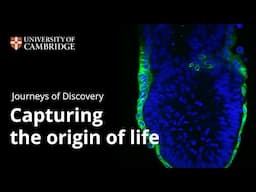 Journeys of Discovery: Capturing the origin of life