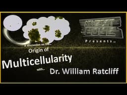 Origins of Multicellularity