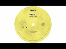 Pando G - Little Lamb