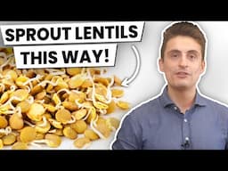 How To Sprout Lentils At Home - Foolproof Technique