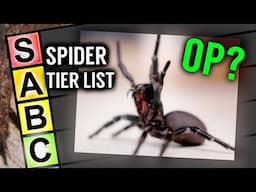 The Australian Spider TIER LIST