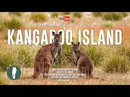 INCREDIBLE WILDLIFE ENCOUNTERS | Australia Nature Documentary 4K | Kangaroo Island