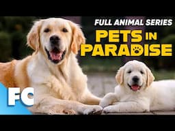 Pets In Paradise (15/26) | Season 2 Episode 02: The Vegan Vet | Full Animal TV Show | FC