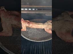 How we Smoke Wild Rabbit | Pellet Grill Wild Rabbit