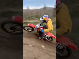 1987 XR80 Shredding!