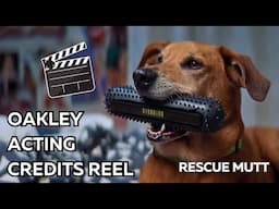 Oakley - Rescue Mutt Acting Credits Reel