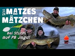 Matzes Mätzchen - Bei Sturm auf PB-Jagd!