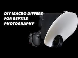 Making flash diffusers for reptile photography