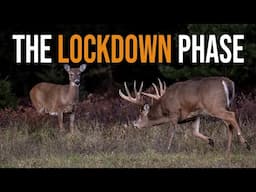 How to Deer Hunt During the Lockdown Phase of the Rut