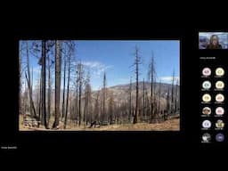 California Forest Conservation Plan Virtual Briefing