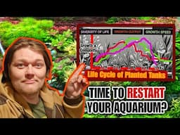 The Life Cycle of A Planted Tank & Knowing When it Will PEAK & WHEN TO RESET Your Nature Aquarium.