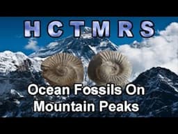 How Creationism Taught Me Real Science 103 Ocean Fossils on Mountain Peaks