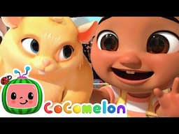 Nina's Class Pet Song |  CoComelon - Nursery Rhymes with Nina