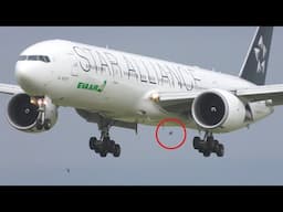 Boeing 777 Engine Birdstrike during Landing