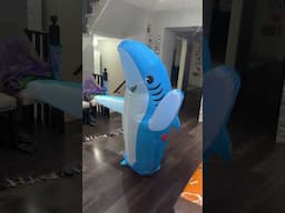 Halloween Shark Costume! #halloween #sharkcostume #shark