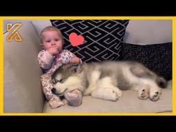 🐕 When We Grow Up With Our Best Friend 💖 Cute Moments Dog and Baby