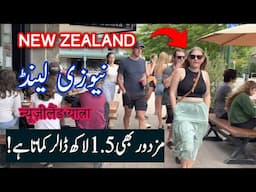 Travel To New Zealand | History Documentary in Urdu & Hindi | Spider Tv | New Zealand Ki Sair