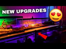 Upgrading My Animal Room! (Substrate, Water Dishes, & MORE)