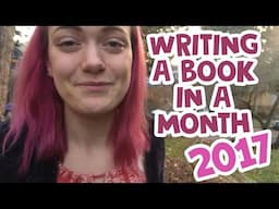 Writing a Book in a Month (2017)