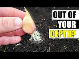 Garlic Planting Depth and Mulch Thickness Garden Quickie Episode 223