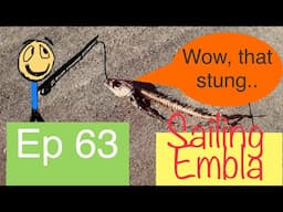 Damn, there is no wind out here - Sailing Embla Ep 63