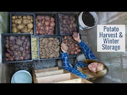 Salvaging An Old Well Pit & Turning it Into a Root Cellar - Potato Harvesting  & Storage