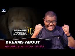 Dream About Animal Without Having Eyes II Meaning from Evangelist Joshua