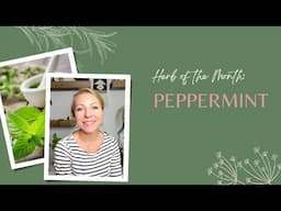 Herb of the Month: Peppermint