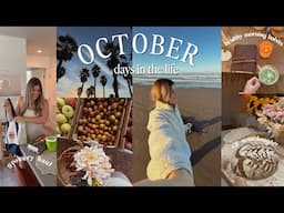 October Days 🍂 | healthy habits, sunrise beach walks + workouts, grocery haul, baking GF sourdough!