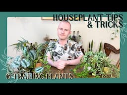 6 Trailing Plants For Plant Styling | Houseplant Tips & Tricks Ep. 33