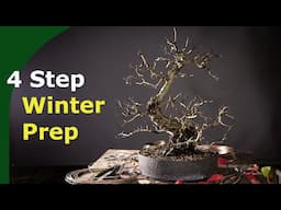 Bonsai Winter Preparation In 4 Steps