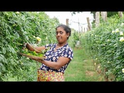 Spiny gourd . Gourd is very tasty when made this way .village kitchen recipe