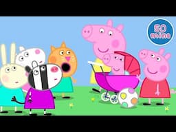 Musical Instruments | Peppa Pig Full Episodes | Kids Cartoons and Toys