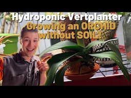 Growing Indoor Plants WITHOUT SOIL using a Vertplanter!