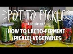 How To Ferment (Pickle) Veg 🥒 #PotToPickle Ep.12