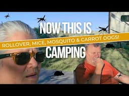 Strangers In Camp, Rolled Truck, Mice, Mosquito, Carrot Dog! What More Do You Want While Camping!?