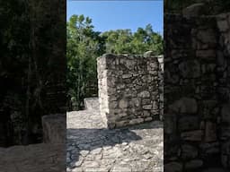 Deep in the jungle of Mexico lies Calakmul, one of the most powerful Mayan cities ever discovered