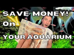 Money Saving Tips On Your Aquarium.