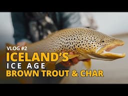 Vlog#2 - Iceland's Ice Age Brown Trout and Char