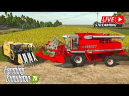 LIVE - Farming Simulator 25 - Hutan Pantai Let's Play 2