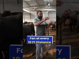 ऐसा बनाओ DAIRY FARM🐄🛖फिर देखो जलवा 🔥🤑Watch Full Video👆 #indianfarmer #shorts