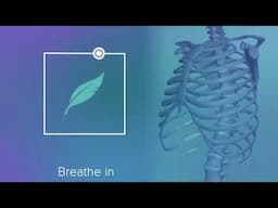 Relaxing Box Breath with Anatomy | Help Singers Visualise Breathing Anatomy