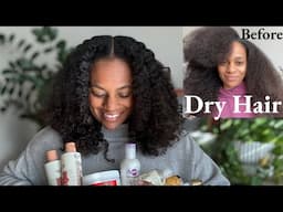 how to keep my dry hair moisturized