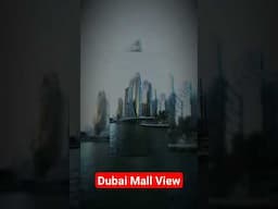 Dubai Mall View #shorts #dubai #burjkhalifa