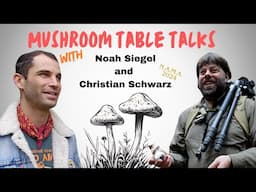 Mushroom Table Talks with Noah Siegel and Christian Schwarz at NAMA 2024