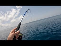 Exploring NEW Islands to Rock Fish (QLD Australia)