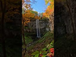 Relaxing Autumn Waterfall ASMR 🎬 Kyle Wicks #Shorts #Fall