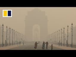 New Delhi orders work from home as smog remains