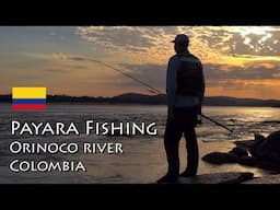 PAYARA FISHING - Orinoco River - Colombia