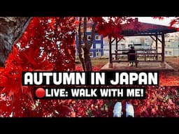 Autumn in Japan 🍁 Walk With Me! Fall Colours at Morioka Castle Park